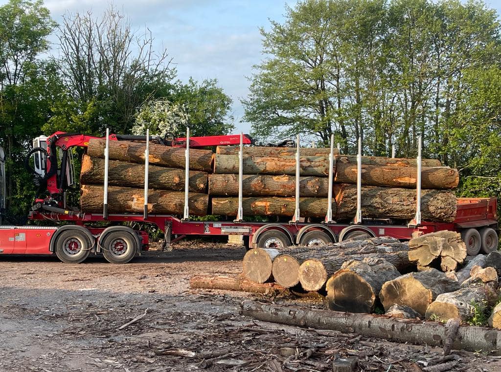 Logs loaded onto trailer
